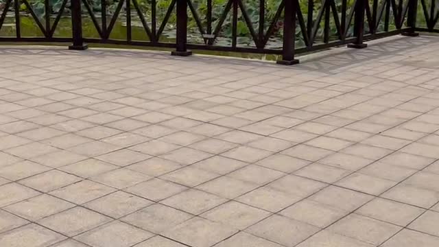 It's good for dancing