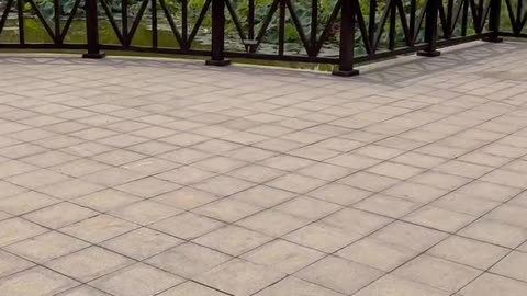 It's good for dancing