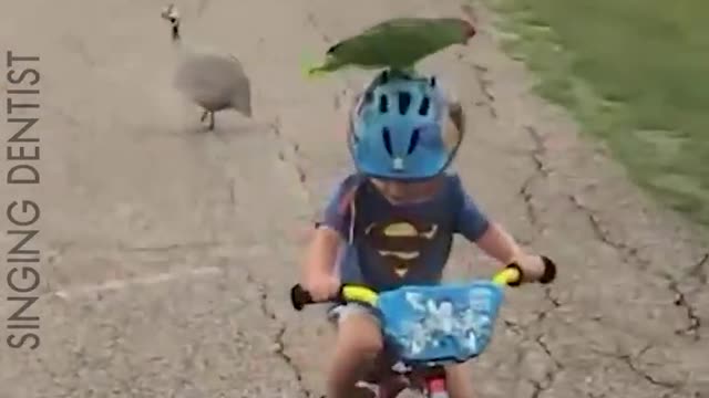 Funny Baby
