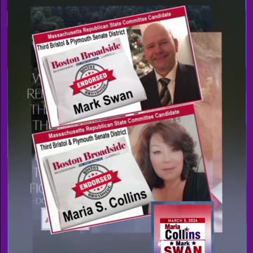 Save your Towns! VOTE Maria Collins for Republican State Committee