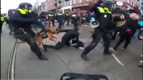 Amsterdam Protest/ Dogs attack protesters