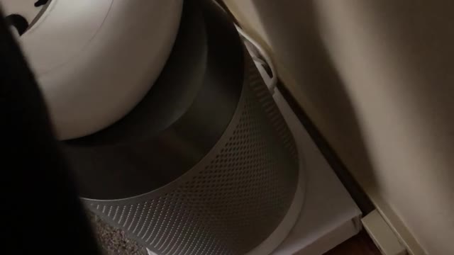 Air Purifier Exceeds Expectations