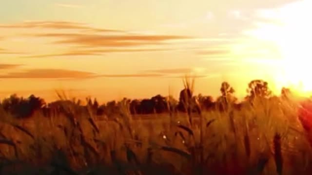 Manifestation Trigger | Waiting For You