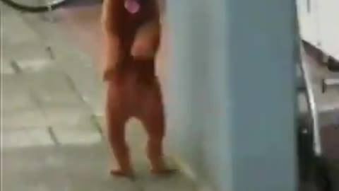 Dancing Dog