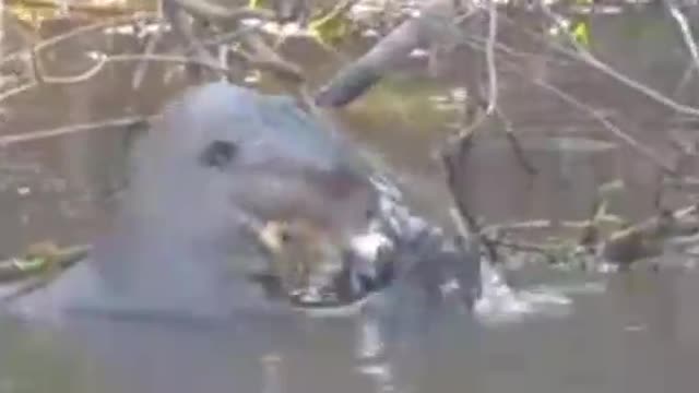 Nice video