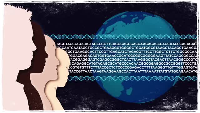 DNA BANDITS -