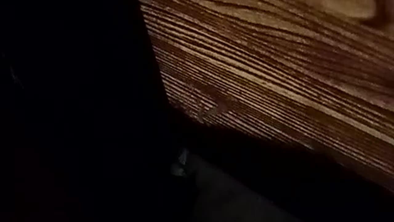 Best Scene in this world 🤣🤣🤣