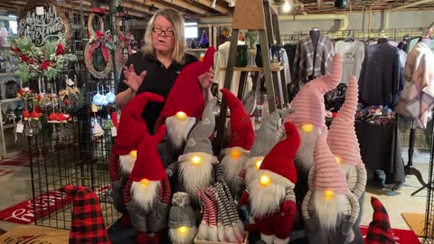 Opportunities Show Room Video 8 - Gnomes Part 1