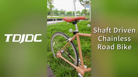 No Chain Retro Road Bike~ drive shaft bicycle