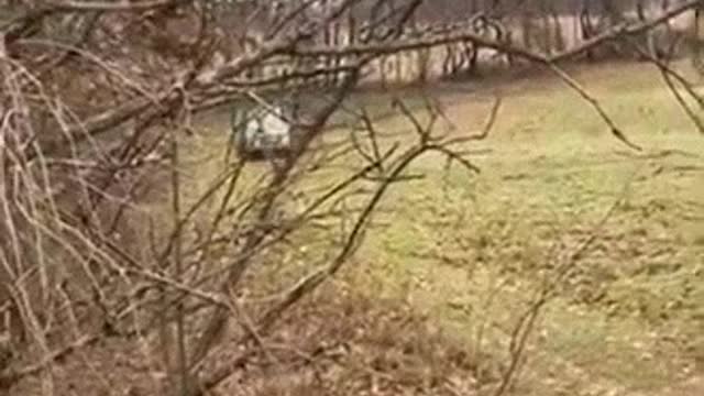 1245# it hurt Driver huge truck jump crash