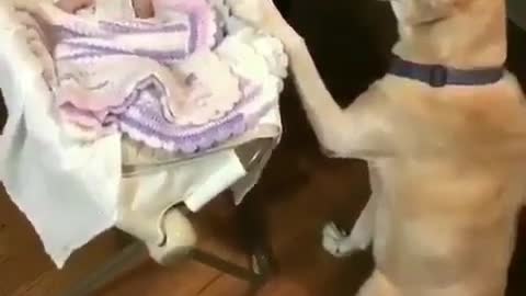 Go to bed soon