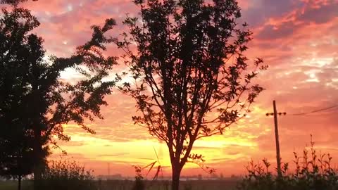 Scenery: Sunset: Sunset