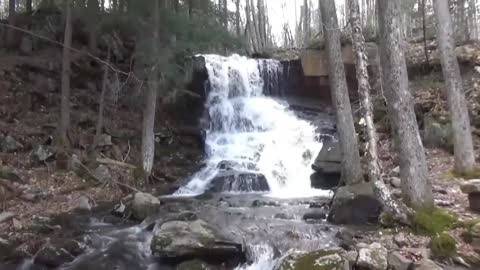 Super Gus Hiking