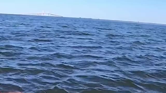 #fishing