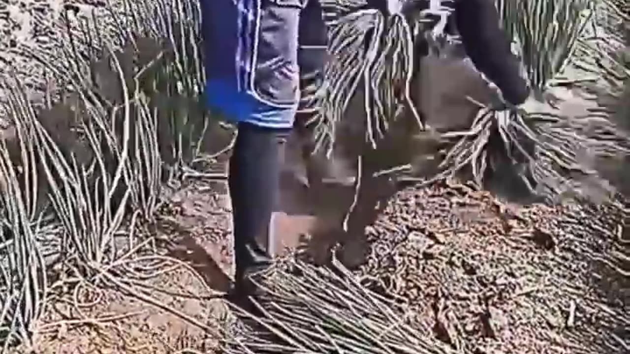 #amazing #interesting 📹