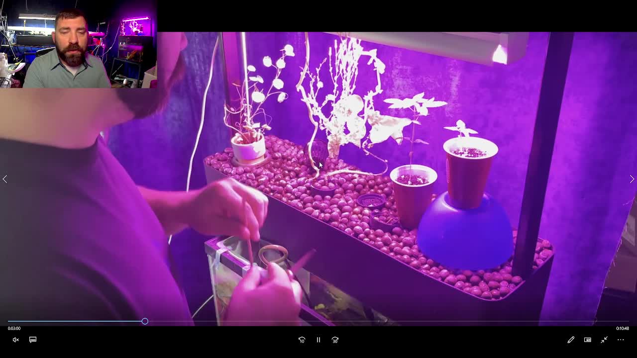 Waylon, The Indoor Farmer EP #16