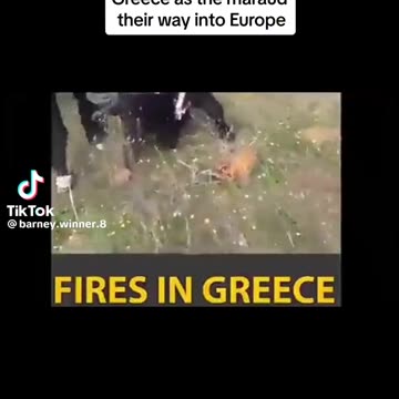 August 2023 Greece fires