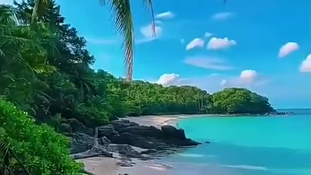 Enjoy the sea breeze