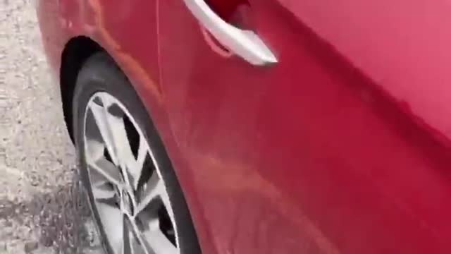 Driver Leaves Chocolate Instead of Details After Hit and Run