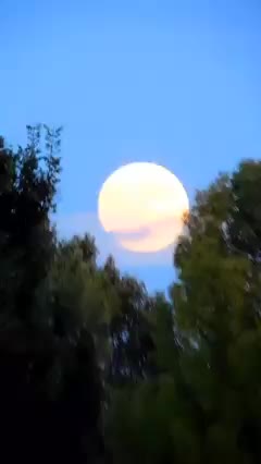 Beautiful moon God gave us