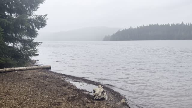 Oak Fork Campground Shoreline Area – Timothy Lake – Mount Hood – Oregon – 4K