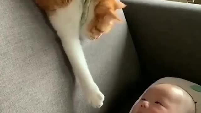 Cat 🐈🐱 play with cute baby , cat is holding baby's hand