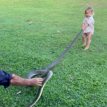 While holding the snake, the child started getting scared, do not bite him.