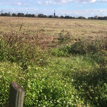 Chalmette Battlefield_9