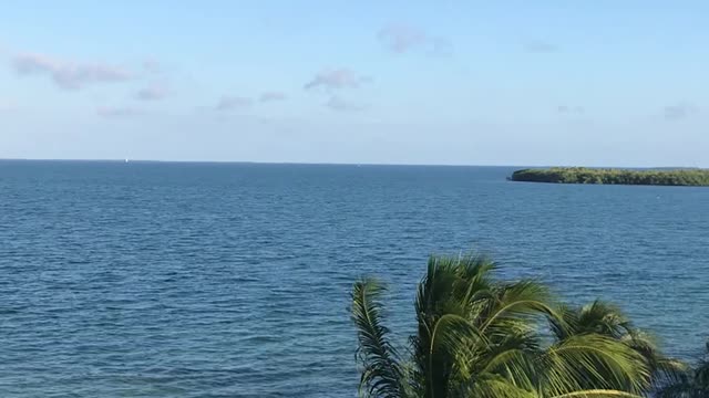 Rooftop Views #Belize