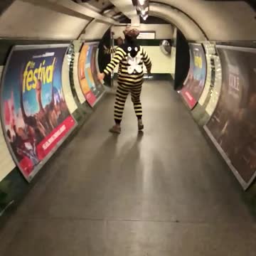 People dressed as bees