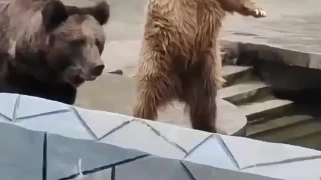 What about me?