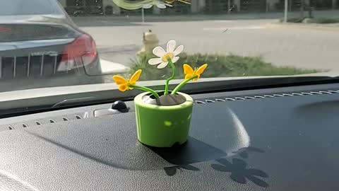 Rescued Dancing Flower