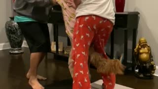 Classic Movie Dance Recreated with Doggo