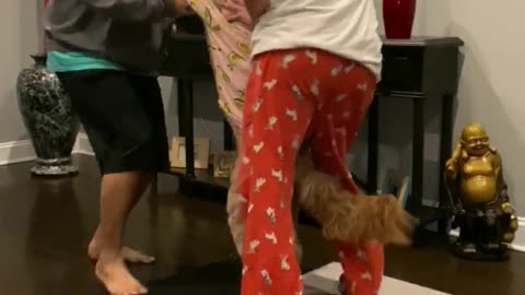 Classic Movie Dance Recreated with Doggo