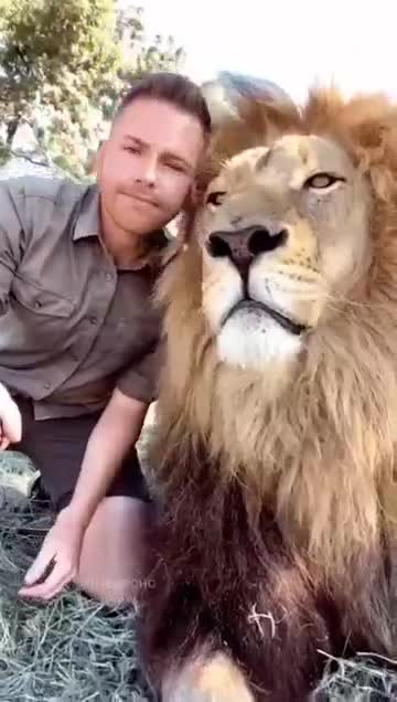 The king of beasts, man's friend:Царь зверей,друг человека