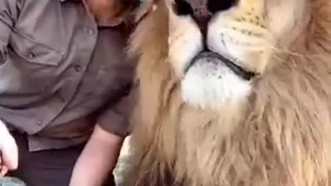 The king of beasts, man's friend:Царь зверей,друг человека