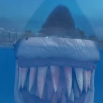 Nice day for a swim 🏊‍♂️