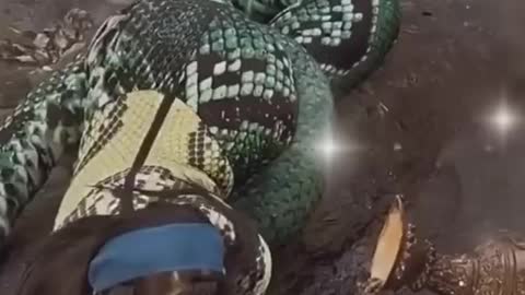 Funny kama nyoka