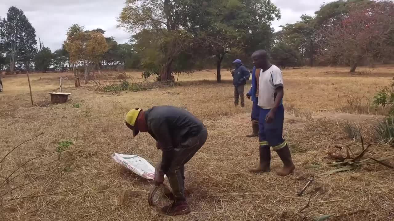 African man and the huge snake are not friends