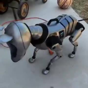 Us Without Our Meatsuits