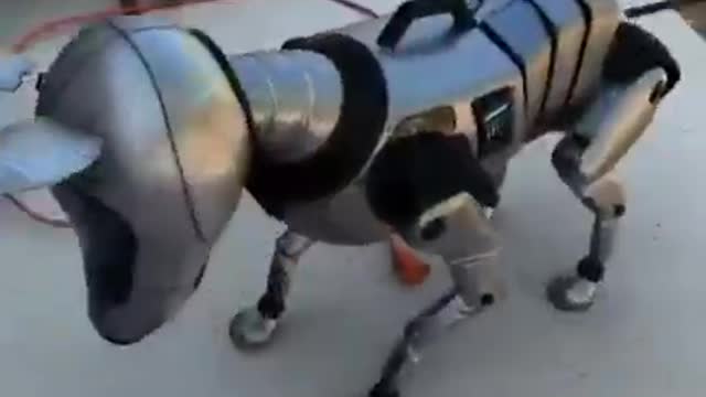 Us Without Our Meatsuits