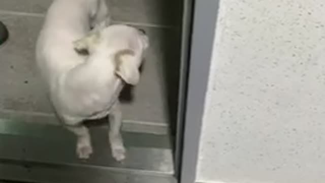 He never wants to go out.