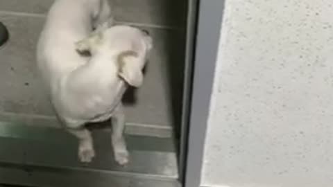 He never wants to go out.