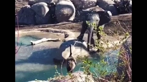 This video show funny reactions