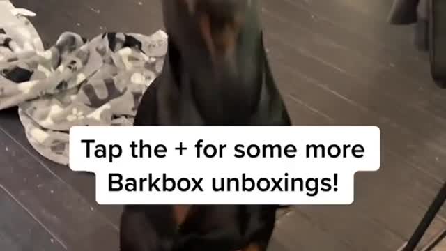 another amazing box 🏁 #barkbox#