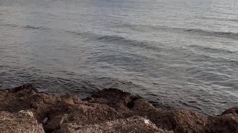 Sun and The Sea