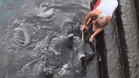 Little Boy Gets Too Close to the Water, Sea Creature