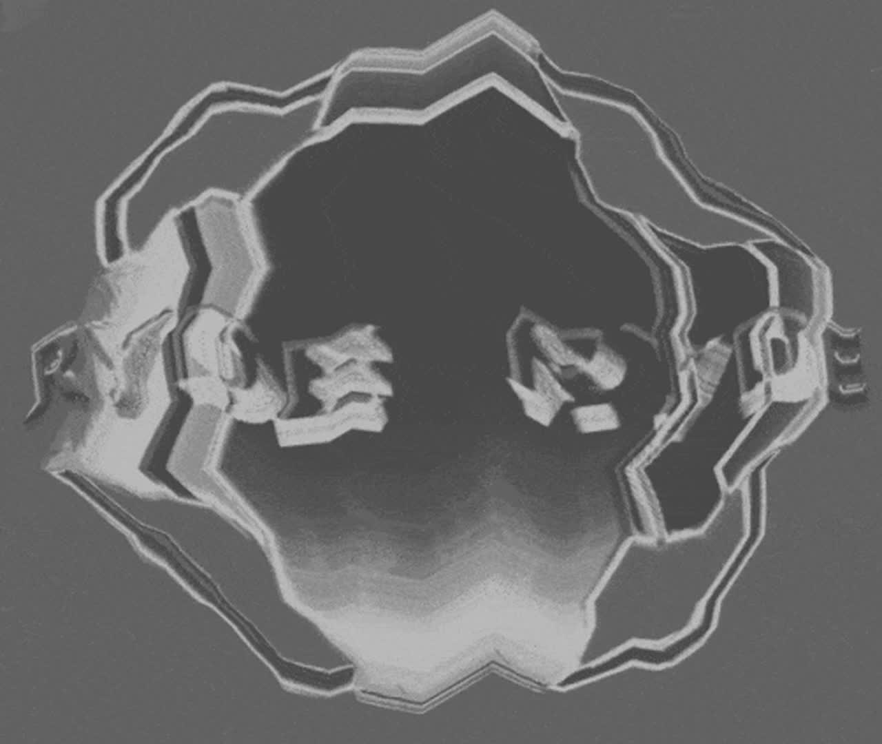 RYDE IMAGING ENCODING ELECTRONIC PROGRAMMING