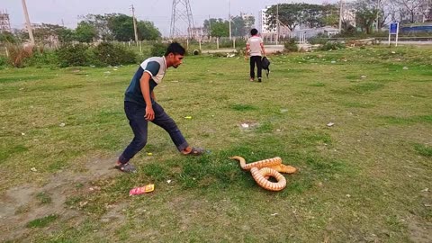 KING COBRA SNAKE PRANK ON PUBLIC 😅 PART 07 !