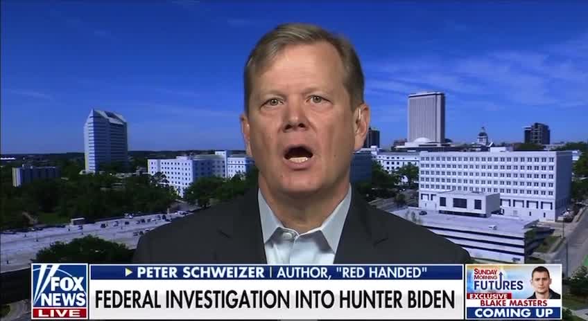 Peter Schweizer: Biden is not the ROCK STAR of the Democratic Party right now